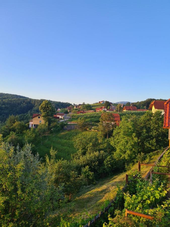 Zidanica Muhic Villa Dolenjske Toplice Exterior photo